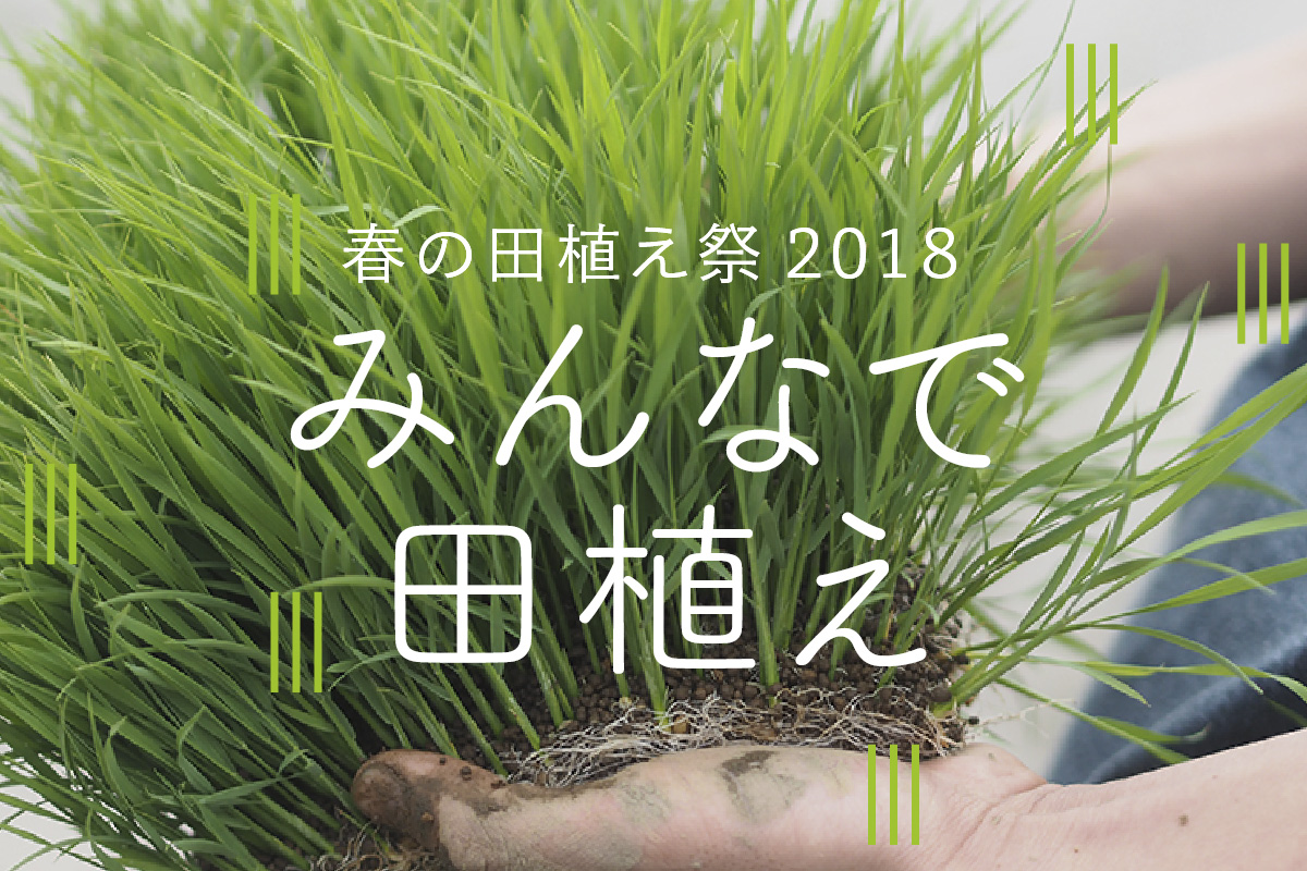 春の田植え祭2018「みんなで田植え」イベント・バスツアー詳細決定しました！